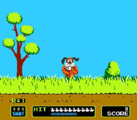 Duck Hunt